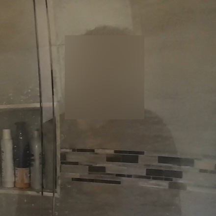 Same crop with only the face region blurred